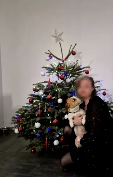 Orla, 38